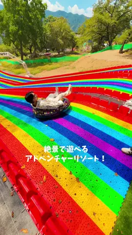 ウツセミ / utsusemiのTikTok投稿