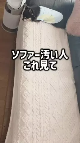 レオンママ🌻🐯｜バズ商品紹介のTikTok投稿
