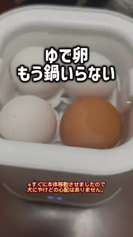 レオンママ🌻🐯｜バズ商品紹介のTikTok投稿