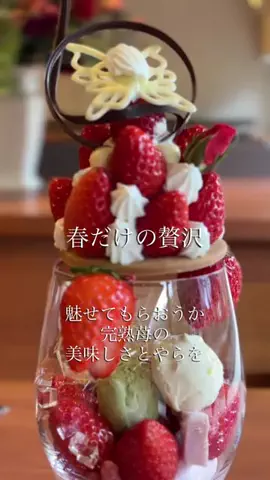 グルメ大佐のTikTok投稿