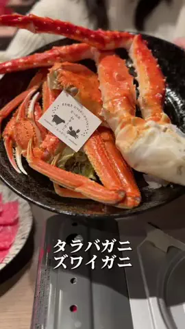 グルメ大佐のTikTok投稿