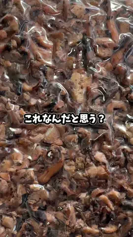 🇯🇵Tchan Pchan🌸のTikTok PR投稿：これ何だと思う？ 訳ありげそくん 訳あり商品って言うけ…