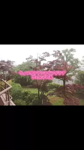 かなな🐮🐯🐰💟のTikTok投稿