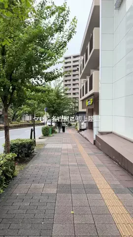 あんじゅ｜名古屋カフェ・グルメのTikTok投稿