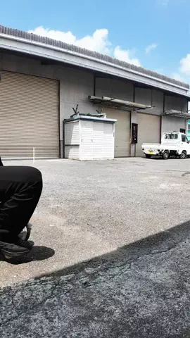オタク男子高校生のTikTok投稿