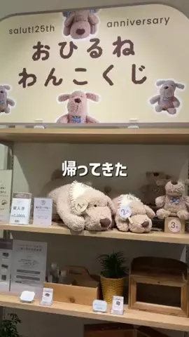 hinata|悩まない・迷わない・センス不要なインテリアのTikTok投稿