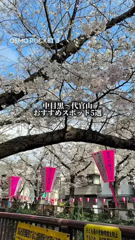 はる散歩@20秒リールのTikTok投稿