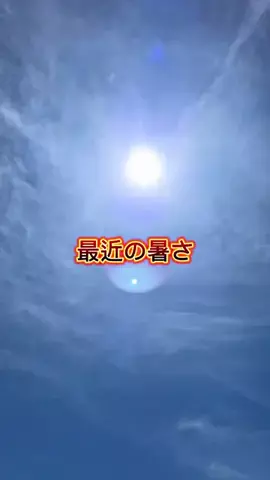 たか|つい真似したくなるiPhone活用術のTikTok投稿