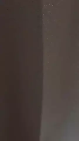 一生ぐうたらしていたいのTikTok投稿