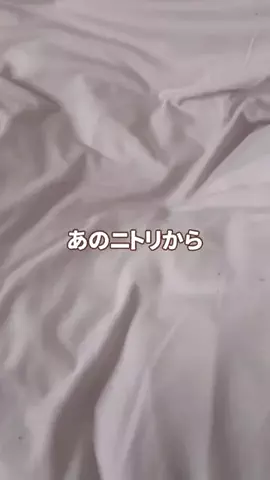 びーちママのTikTok投稿