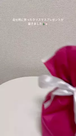 一生ぐうたらしていたいのTikTok投稿