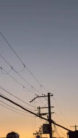 一生ぐうたらしていたいのTikTok投稿