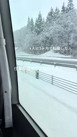 れな┊新卒1年目で転職した人のTikTok投稿