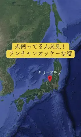 Trip in JAPANのTikTok投稿