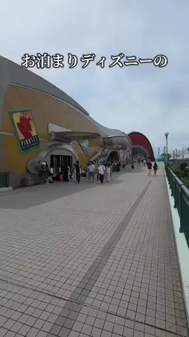 トータスのTikTok投稿