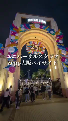 トータスのTikTok投稿