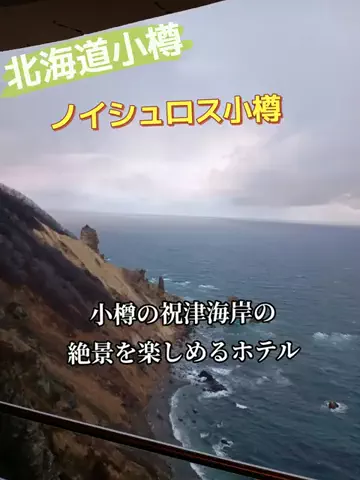 トータスのTikTok投稿