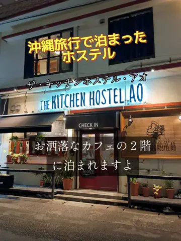 トータスのTikTok投稿