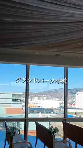 トータスのTikTok投稿