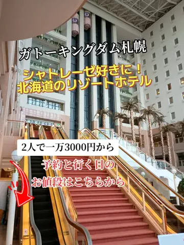 トータスのTikTok投稿