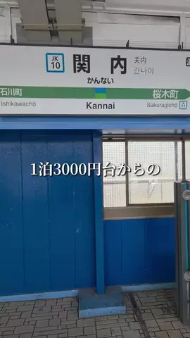 トータスのTikTok投稿