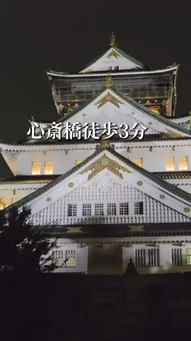 トータスのTikTok投稿