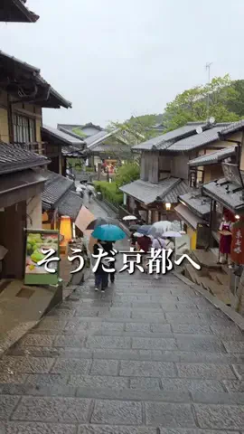 トータスのTikTok投稿