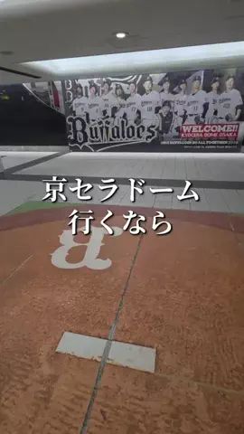 トータスのTikTok投稿