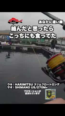伊勢志摩つりとも研究所のTikTok投稿