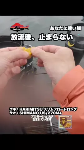 伊勢志摩つりとも研究所のTikTok投稿