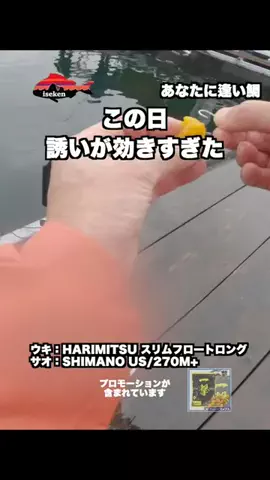 伊勢志摩つりとも研究所のTikTok投稿