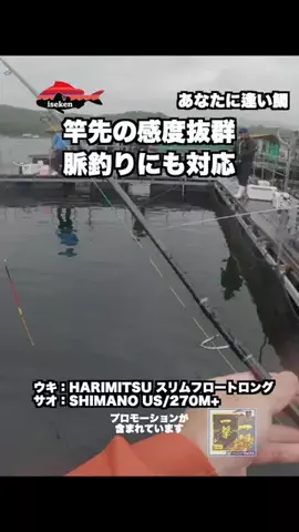 伊勢志摩つりとも研究所のTikTok投稿