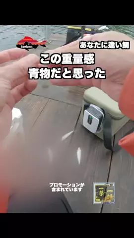 伊勢志摩つりとも研究所のTikTok投稿
