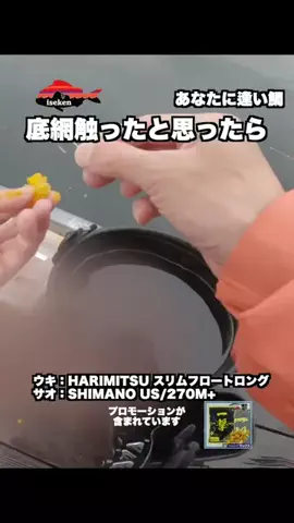 伊勢志摩つりとも研究所のTikTok投稿