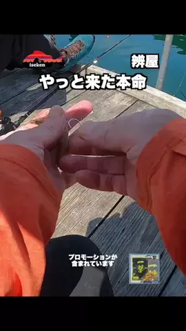 伊勢志摩つりとも研究所のTikTok投稿