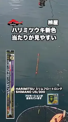 伊勢志摩つりとも研究所のTikTok投稿