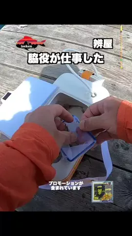 伊勢志摩つりとも研究所のTikTok投稿