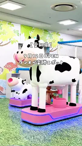 ぴよ🌼のTikTok投稿
