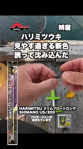 伊勢志摩つりとも研究所のTikTok投稿