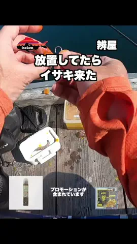 伊勢志摩つりとも研究所のTikTok投稿
