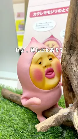 ぴよ🌼のTikTok投稿