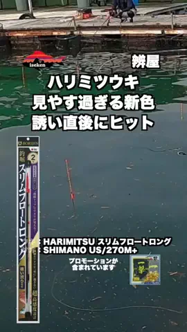伊勢志摩つりとも研究所のTikTok投稿
