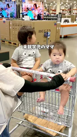 ぴよ🌼のTikTok投稿
