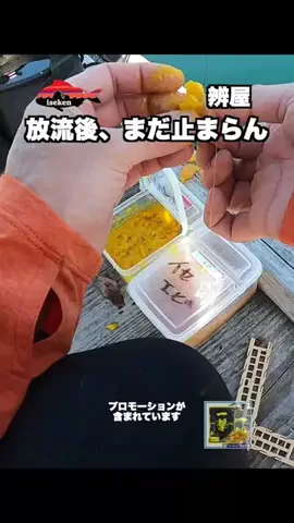 伊勢志摩つりとも研究所のTikTok投稿
