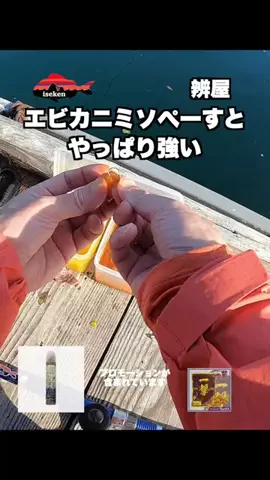 伊勢志摩つりとも研究所のTikTok投稿