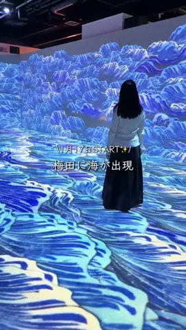 keitabi_osakaのTikTok投稿