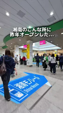 えびなびのTikTok投稿