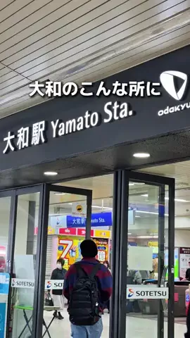 えびなびのTikTok投稿