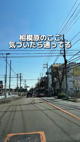 えびなびのTikTok投稿