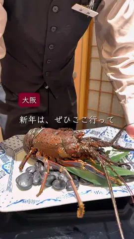 keitabi_osakaのTikTok投稿
